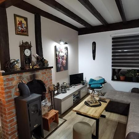 Drinski Oganj Kuca Za Odmor باغينا باستا المظهر الخارجي الصورة