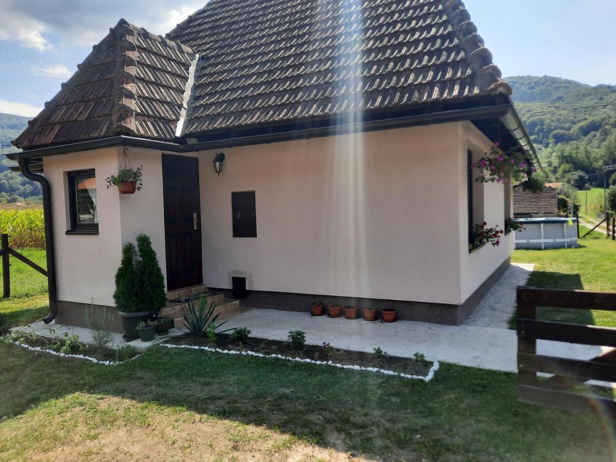 Drinski Oganj Kuca Za Odmor باغينا باستا المظهر الخارجي الصورة